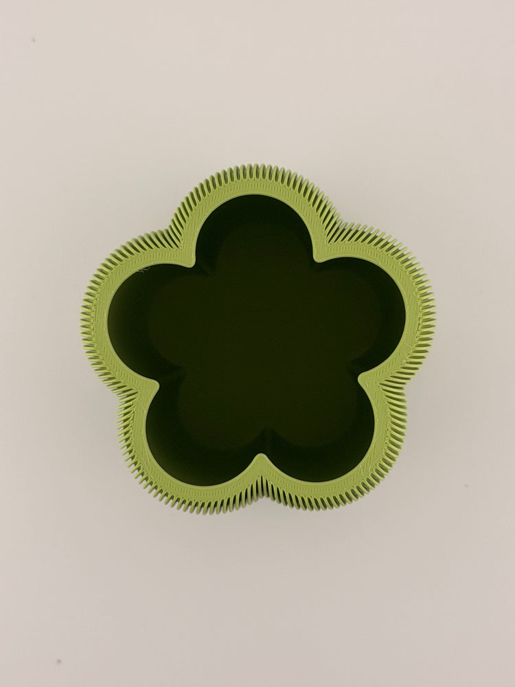 DAISY Matcha