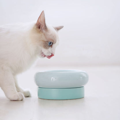 Ceramic cat food bowl