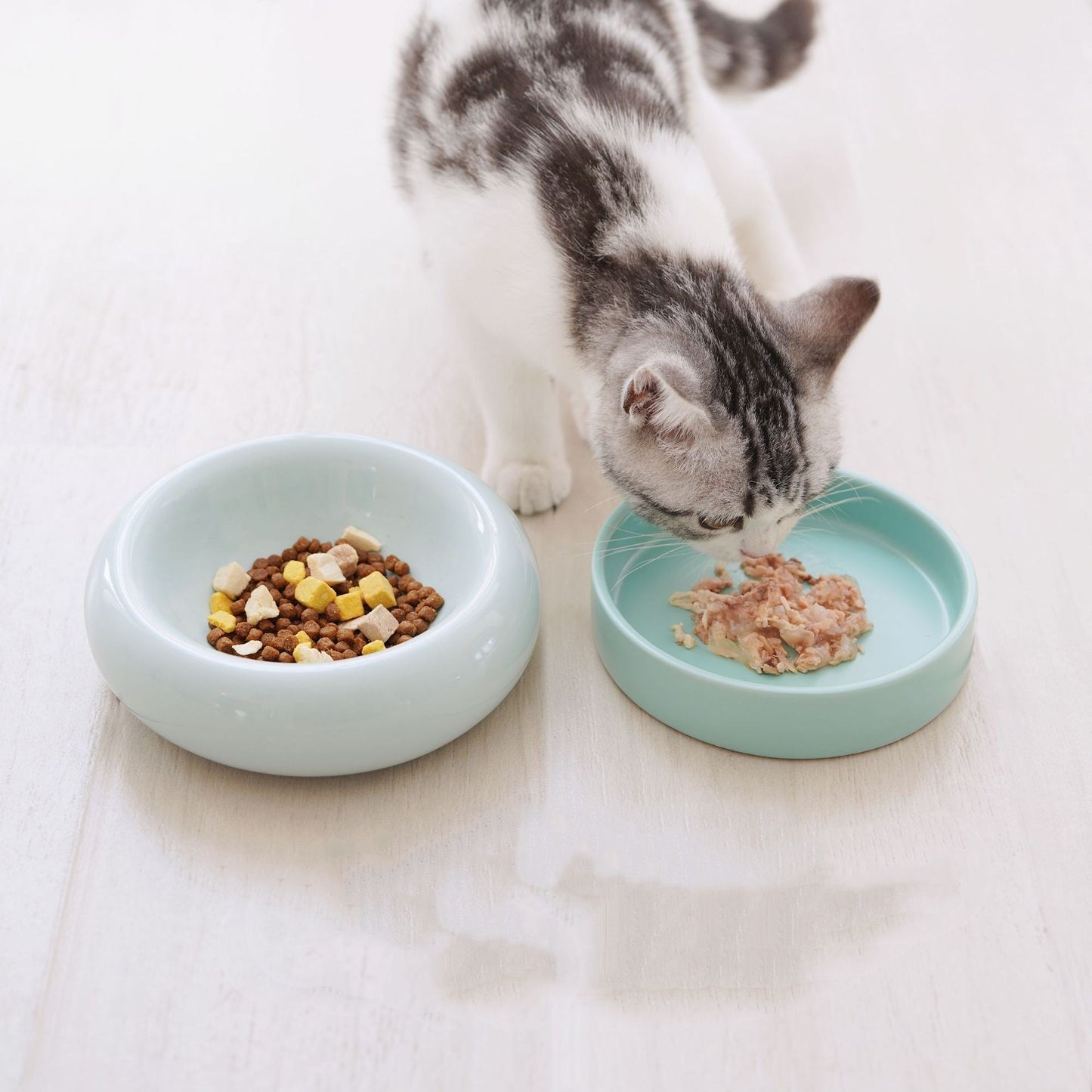 Ceramic cat food bowl