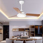 Nordic Ceiling Fan Lights Children's Quiet Chandelier Dining Room