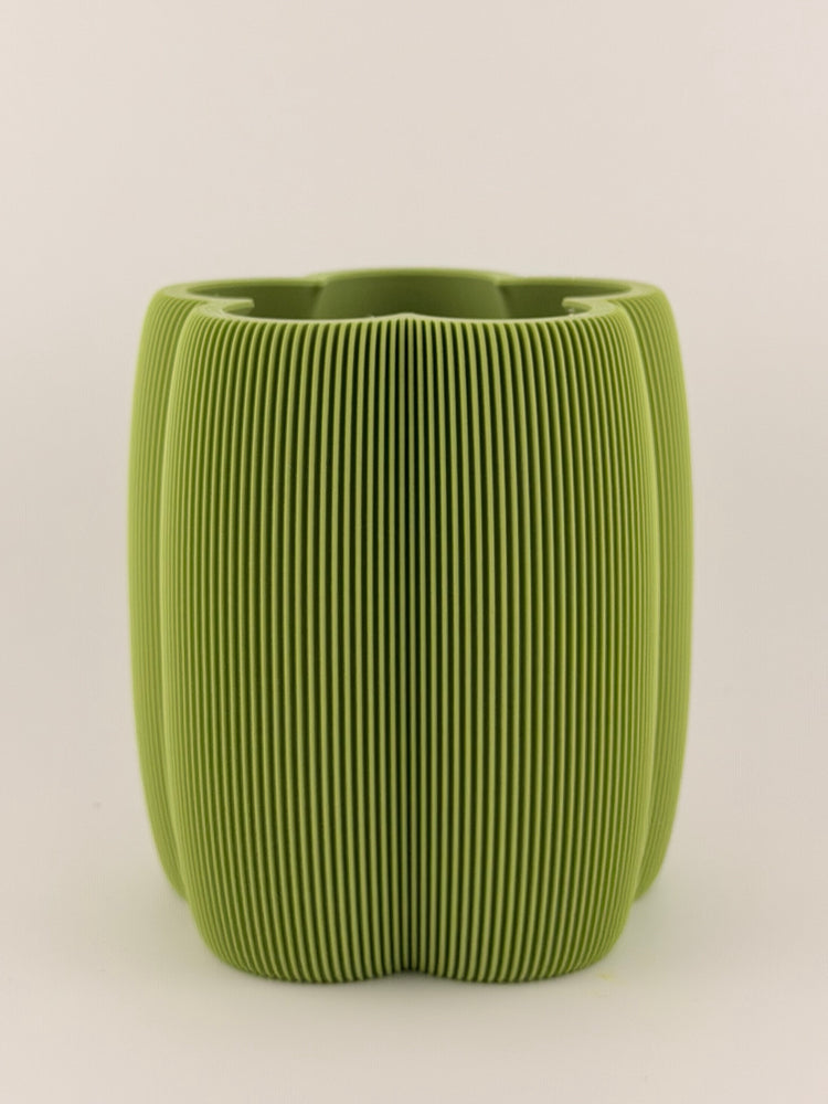 DAISY Matcha