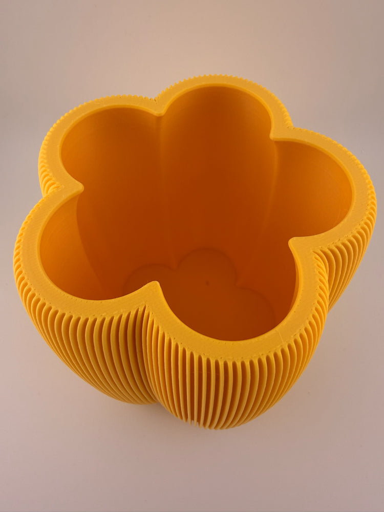 DAISY Honey